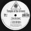 12inch Record TEMPLE OF THE GROOVE - Treat Me Right OP10302 One Planet 1995 US Dance & Electronica Used