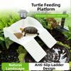 with Suction Cups Turtle Basking Platform Double Ladder Reptile Terrace  Aquatic Turtles