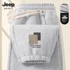 Мужские повседневные брюки-джоггеры свободного кроя JEEP SPIRIT