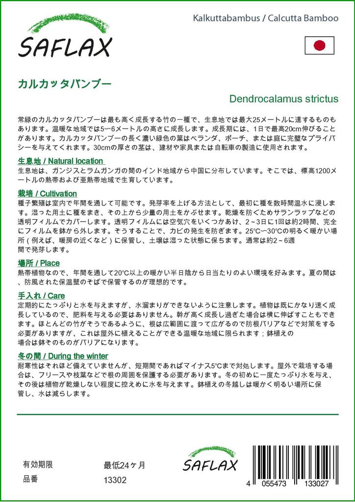 SAFLAX Калькуттский бамбук - 50 семян - Dendrocalamus strictus