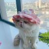 Кошачья шляпа для питомцев вязаная шляпа для косплея Хэллоуин Рождественская вечеринка костюм головной убор аксессуары для переодевания для щенка кошки котенка