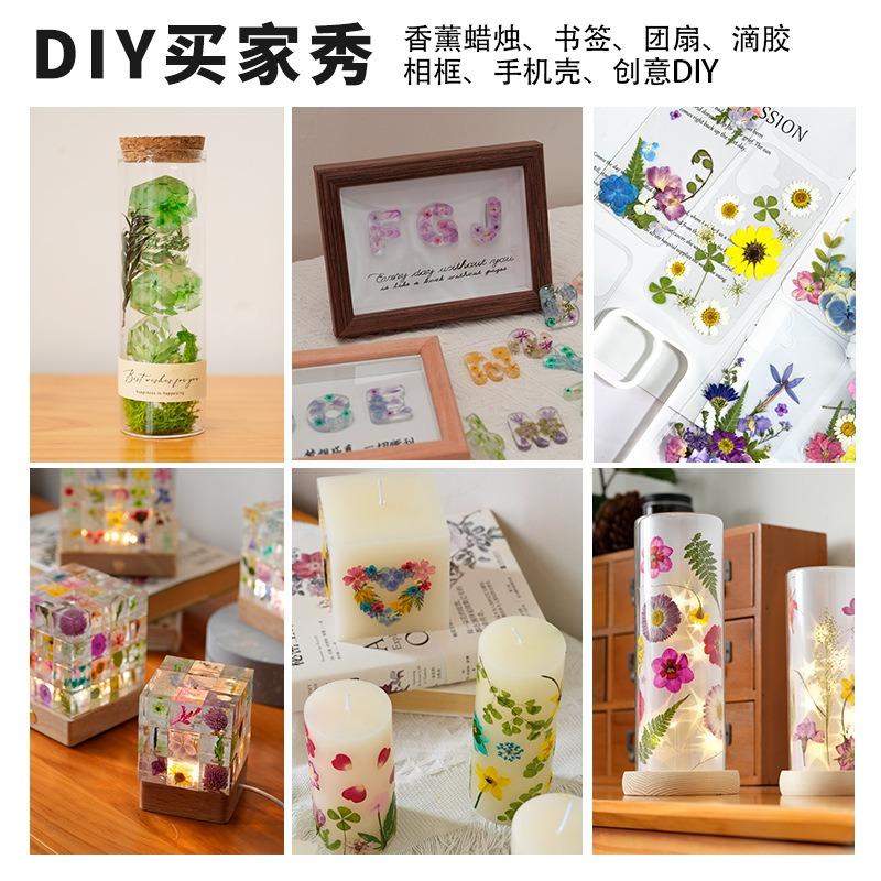 Набор натуральных сушеных цветов для DIY-искусства из эпоксидной смолы с засушенными цветами