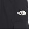 The North Face Брюки карго мужские черные NP6NQ05J