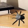 Yousheng Spider Ornament Handmade Braided Aluminum Wire Art Spider Sculpture Lightweight Spider Model Home Decor