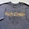 Винтажная футболка унисекс Y2K серая с графикой Harley Davidson 'Biker Chick Pinup'