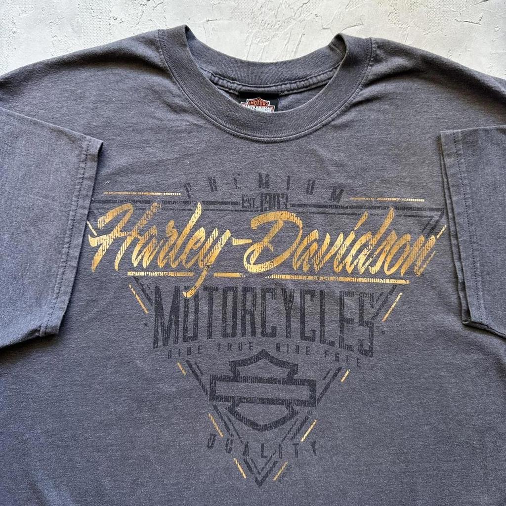 Vintage Y2K Grey Harley Davidson Grey Biker Chick Pinup Graphic T Shirt