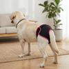 Soft Fabric Dog Sanitary Pant Adjustable Sticky Strap Pet Period Underwear  Dog Estrus