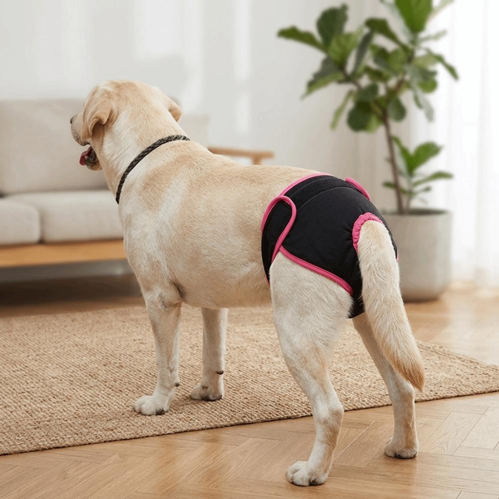 Soft Fabric Dog Sanitary Pant Adjustable Sticky Strap Pet Period Underwear Dog Estrus