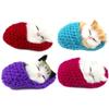 Sounds Sleeping Kitten Toy Slipper Sleeping Cat Simulation Sleeping Cats Mini Kittens in Shoes