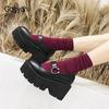 Spring Autumn Chunky Heel Vintage Lolita Shoes Platform Shoes Mary Jane Buckle Strap School Shoes
