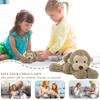 Plush Toys, Cute And Perfect Birthday Gifts For Friends And Classmates, Graduation Gifts