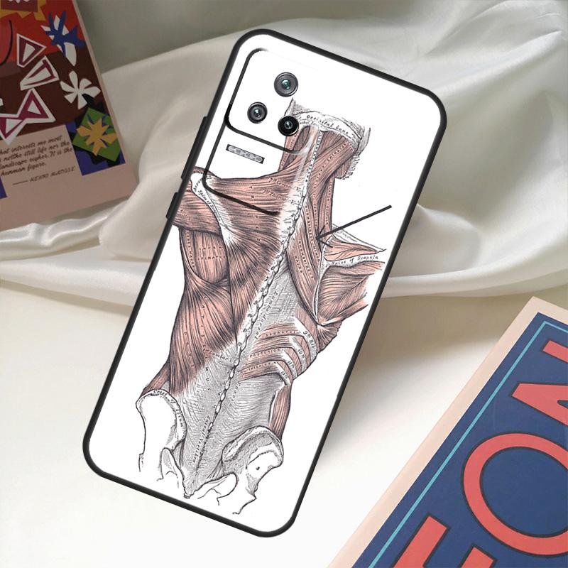 Чехол Human Anatomy Для POCO M6 Pro X3 X4 X5 X6 M5s F3 F5 Xiaomi 13T Pro 12T 11T 12 13 Lite 14 Ultra