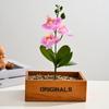 3 Heads Artificial Orchid Flower Advanced Fake Phalaenopsis Bonsai  Party Decor