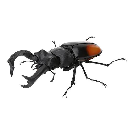 Genuine Gacha Scale Model Biological Cognitive Model Antler Beetle Simulated Moving Insect Action Figure Toys