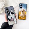 Husky Golden Retriever Dog Phone Case for Samsung Galaxy S22 S21 S20 FE Ultra Plus A35 A36 A37 A33 A34 A04 A71 Cover Casing