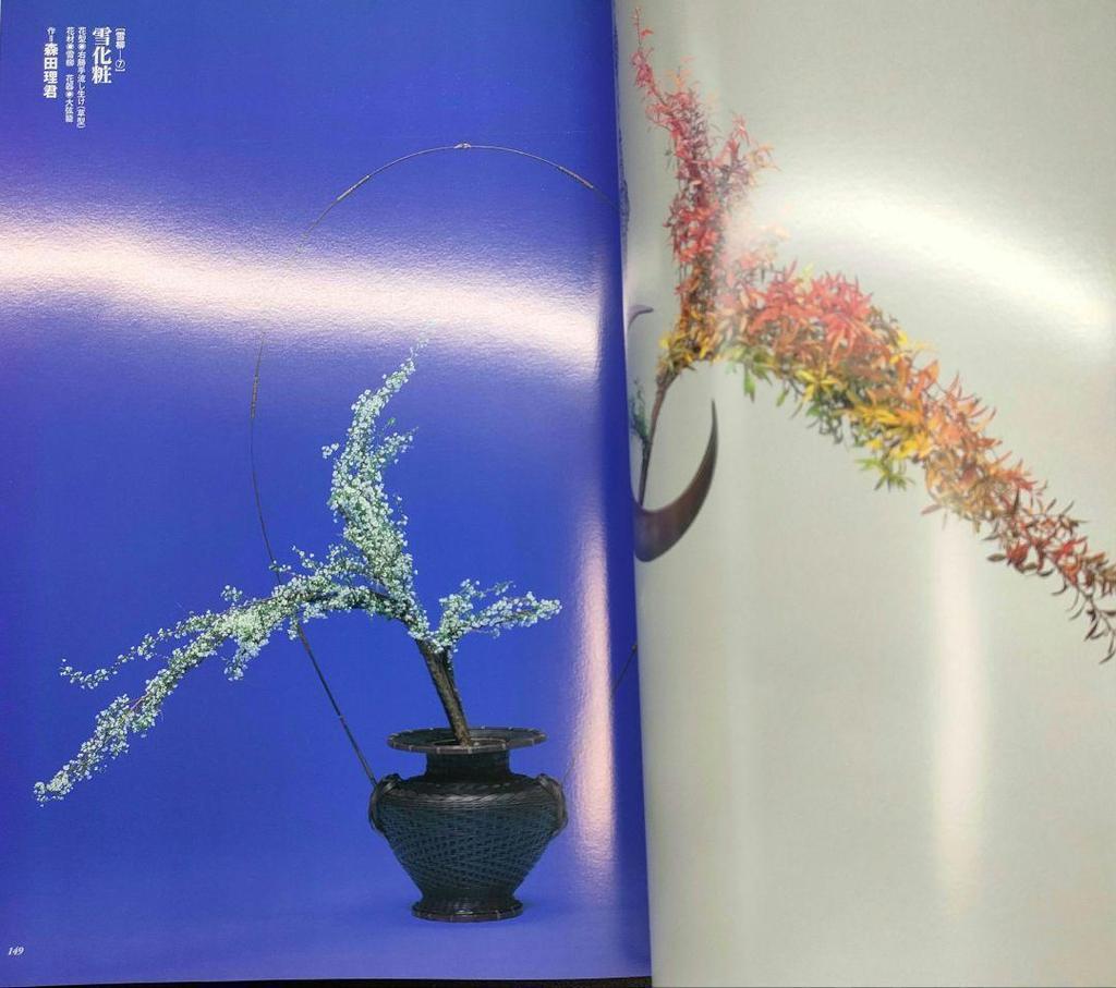 [ИСПОЛЬЗОВАННАЯ] Редкая книга: Каден: Нагаи Риичи и Коллекция «Путешественник с цветком III», Справочник, Кадо, Kyoei Printing