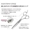 DEEDS GTZ Scissors and Thinning Scissors approximately thinning Set from a Japanese scissors Professional hairdressing [PF] (6.25 inches) (6.0 inches,