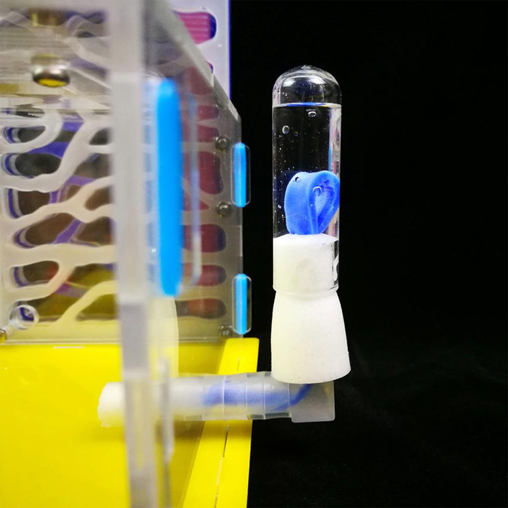 DIY T Design Feeding Area Acrylic Farm Insect Villa Mania House Ant Nest Birthday Present Gift