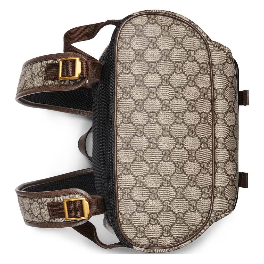Gucci Рюкзак Ophidia GG Supreme из канваса с полосой Web и клапаном, с золотым логотипом Double G, унисекс, роскошный, для повседневного использования