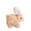 Children's Walking Plush Toy Dog - Electronic Pet Simulation