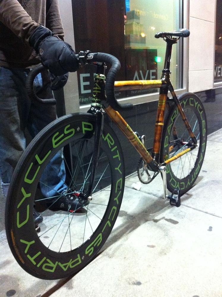 SAFLAX Калькуттский бамбук - 50 семян - Dendrocalamus strictus