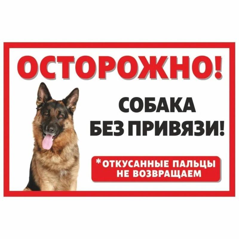 Смешная предупреждающая табличка о бродячей собаке, юмористическая табличка на забор