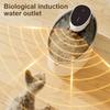 2.5L беспроводной фонтан для кошек с питанием от батареек автоматический беспроводной диспенсер для воды для домашних животных