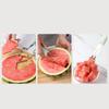 Watermelon Cutter, 3-In-1 Melon Slicer Cutter Tool, Stainless Steel Watermelon Fork Slicer Cutter, Watermelon Knife For Home