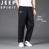 Мужские повседневные брюки прямого кроя JEEP SPIRIT