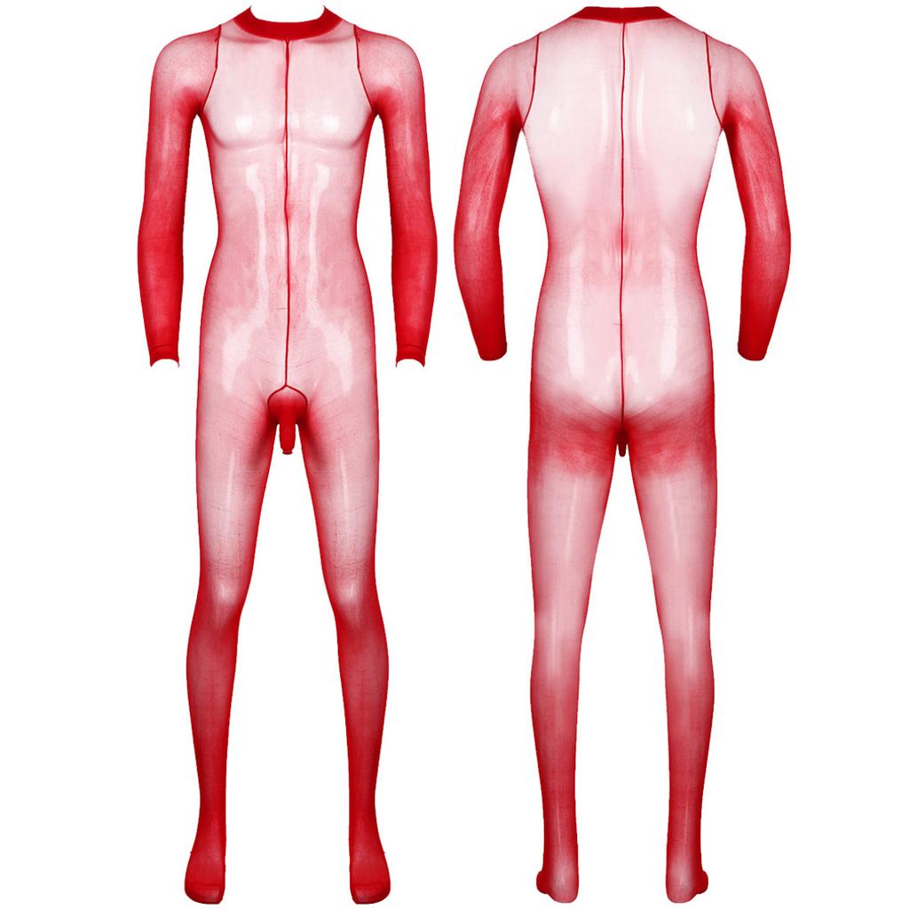 Men's Sheer Mesh Full Body Stockings Pantyhose Stretchy Footed Tights Leggings Bodysuit