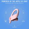 Beats Powerbeats Pro Wireless Earbuds with Apple H1 Chip