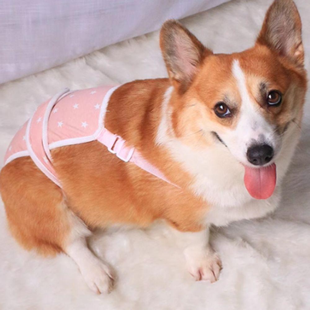 Регулируемые гигиенические трусики для собак со звездным узором, трусы для менструации у собак на четыре сезона