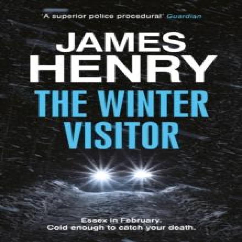 The Winter Visitor by James Henry Paperback Book 9781529431742