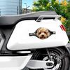 Waterproof Dog Car Decal Zipper Design Pet Car Decoration Sticker Dog Car Sticker  Scratch Covering