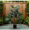 High-End Luxury Rubber Tree Fake Plant with Green Banyan Leaves - Indoor Floor Decor
