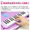 Hobinavi Keyboard Harmonica 32 Keys for Elementary School Kindergarten Children Lightweight Melody Winding Mouth Hose Table Play Standing Case