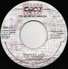 7inch Record LLOYD LOVINDEER - Married Life NONE TSOJ 1982 Jamaica Reggae, Ska & Dub Used