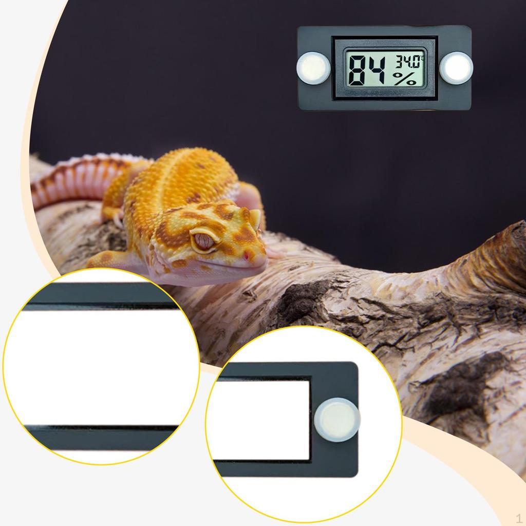 Holder for Reptile Terrarium, Amphibian Enclosures, , Compact Accessory, 7.6 X 5.1 Cm