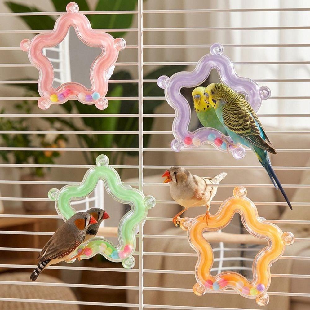 Colorful Beads Star Rotating Parrot Mirror Toy Mirror Parrot Interactive Toy Bird Supplies