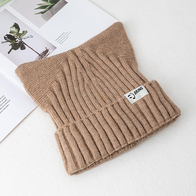 Cute Dandy Hat Cat Ear Kpop Style Beanie Hat Sweet Autumn/Winter Hats For Women Street Simple Colors Warm Hats For Girl