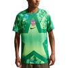 Мужская футбольная майка USMNT Dri-FIT 2026 Stadium Вратарская Реплика С круглым вырезом с коротким рукавом Мужская майка IB5343-324