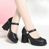 Fashion Cowhide Mary Jane High Thick Heels Women's Platform Round Toe Shallow Mouth Work Shoes Single Shoes Girls Leather Catwalk Grace