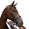Collegiate Syntovia+ Padded Raised Flash Bridle