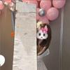 Сделай сам письмо-свиток: Креативный чистый холст для искренних признаний и церемониальных любовных подарков