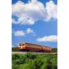 KATO N Gauge Kiha 52 General Color Diesel Railcar 6042-3 Multicolor 1/150