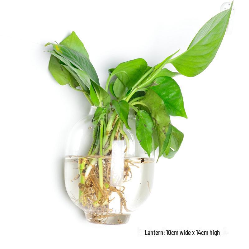 Ваза из выдувного стекла ручной работы для украшения стен и цветочных композиций