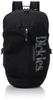 Dickies Seethrough Logo Backpack