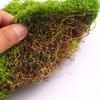 Bionic Moss Bonsai Ornament - Landscaping Turf Arrangement for Lawn and Paving Decoration