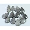 255Cts. Natural Black Fossil Coral Pear Cabochon Loose Gemstone 12 Pcs Lot C-640