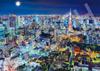 EPOCH 2000 Super Small Piece Jigsaw Puzzle Japanese Scenery Sparkling Tokyo X Glue Included Spatula Included Score Ticket Included EPOCH Night-Tokyo